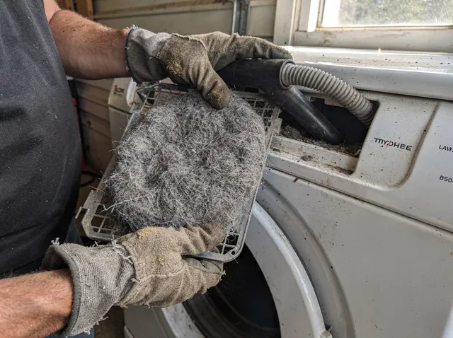 Cleaning Dryer Lint Trap in Lakeland